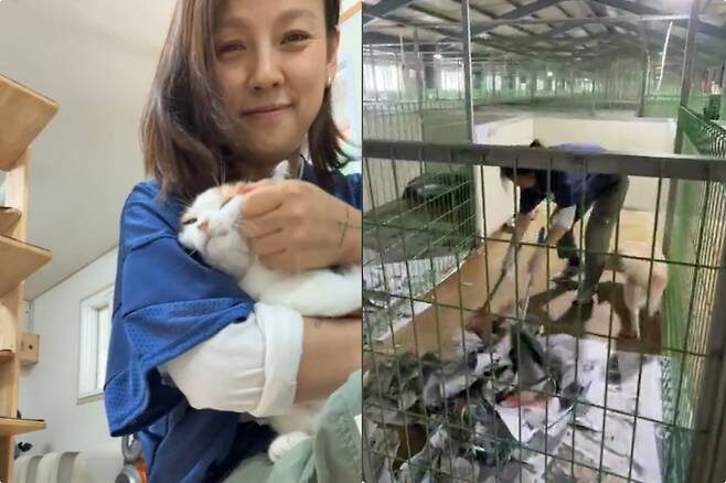    источник: @lee_hyolee