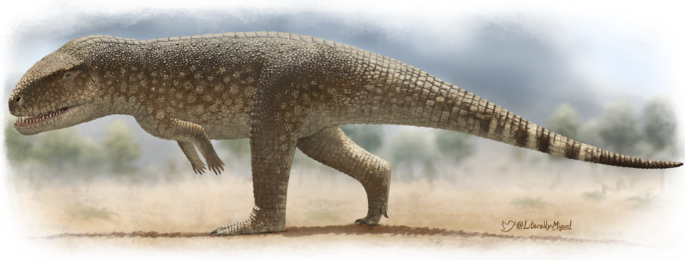 Этьозух от Literally Miguel.