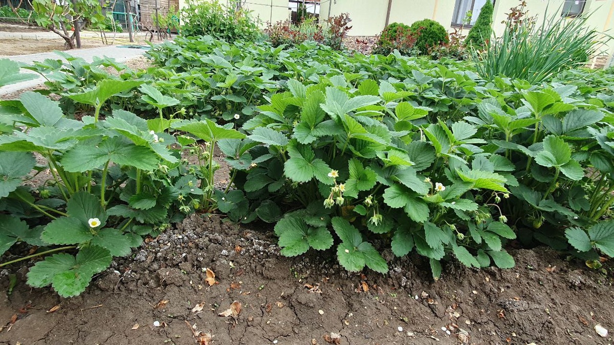 Фото из личного архива. Май 2025