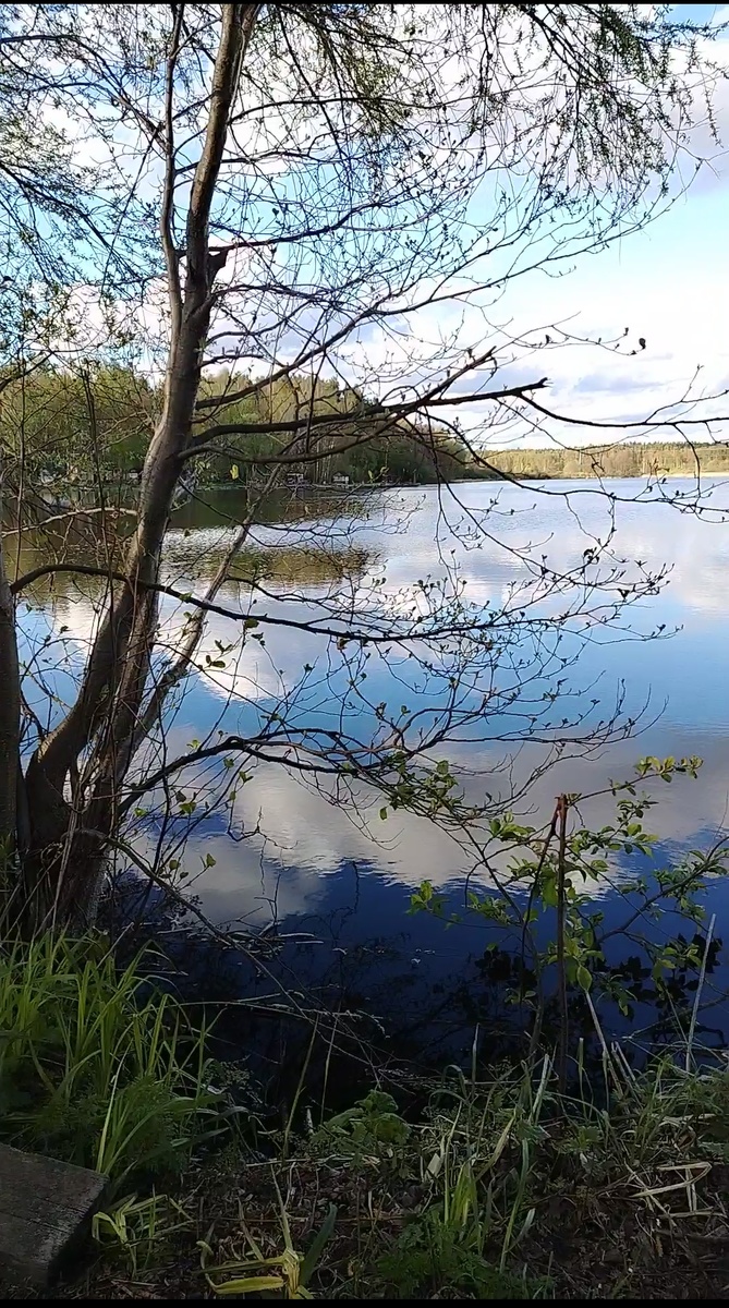 Прекравный вид в прекрасную погоду. 