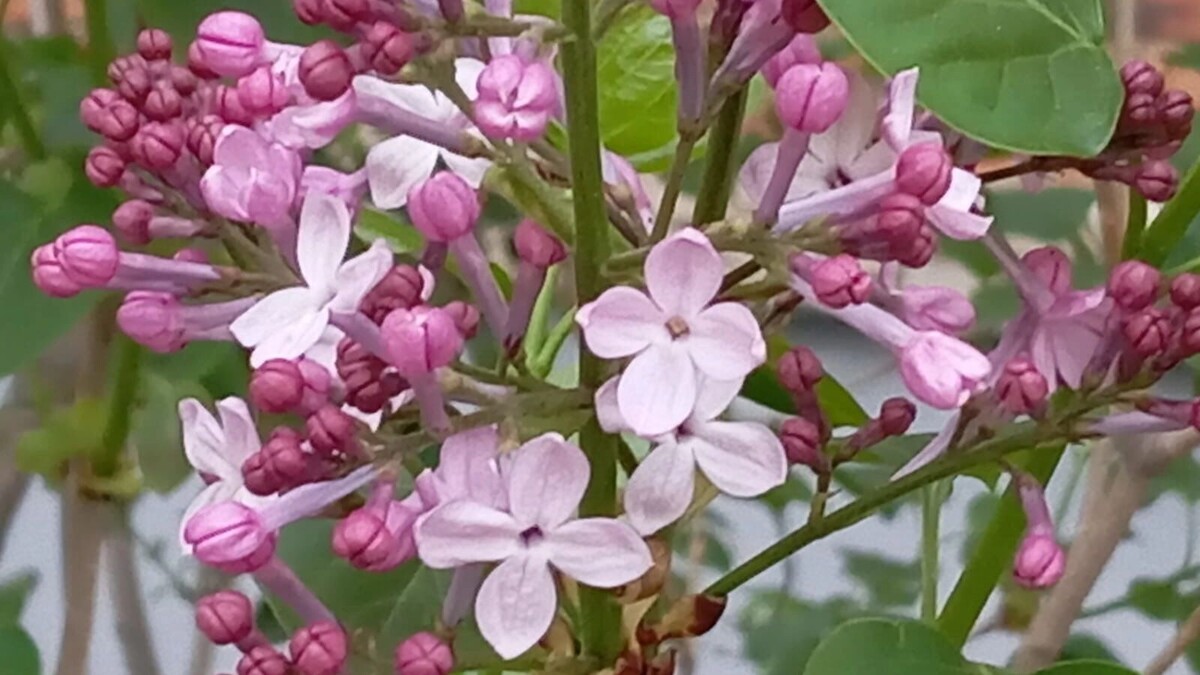     Источник: transsibinfo.com