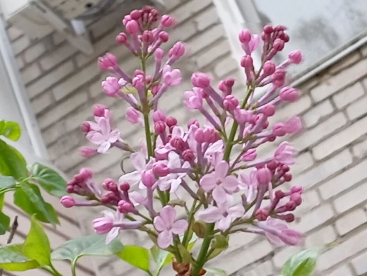     Источник: transsibinfo.com