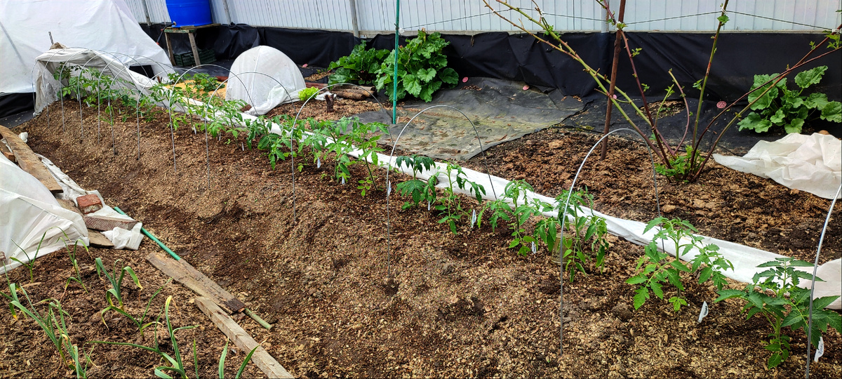Надеюсь что всё с ними будет хорошо 😊