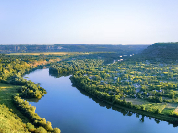     Фото freepik.com