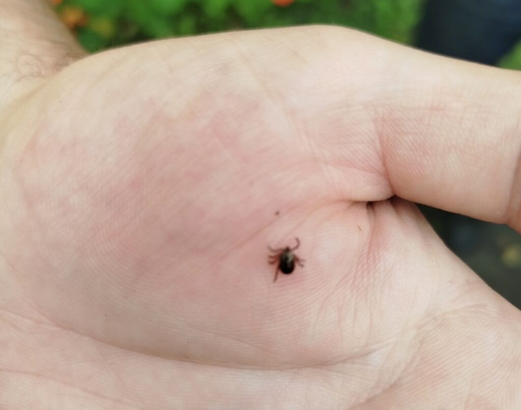    Фото: В курсе.ру Ульяна Бажанова