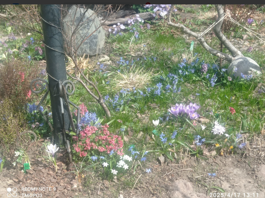 ровно месяц назад