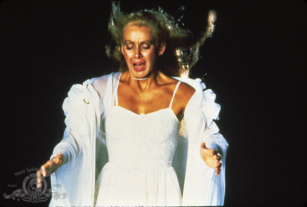 Кадр из фильма «Леди в белом» (1988)