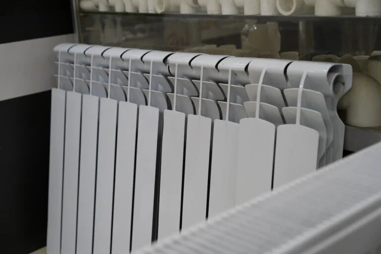    Фото: Общественная Служба Новостей Ольга Чистова