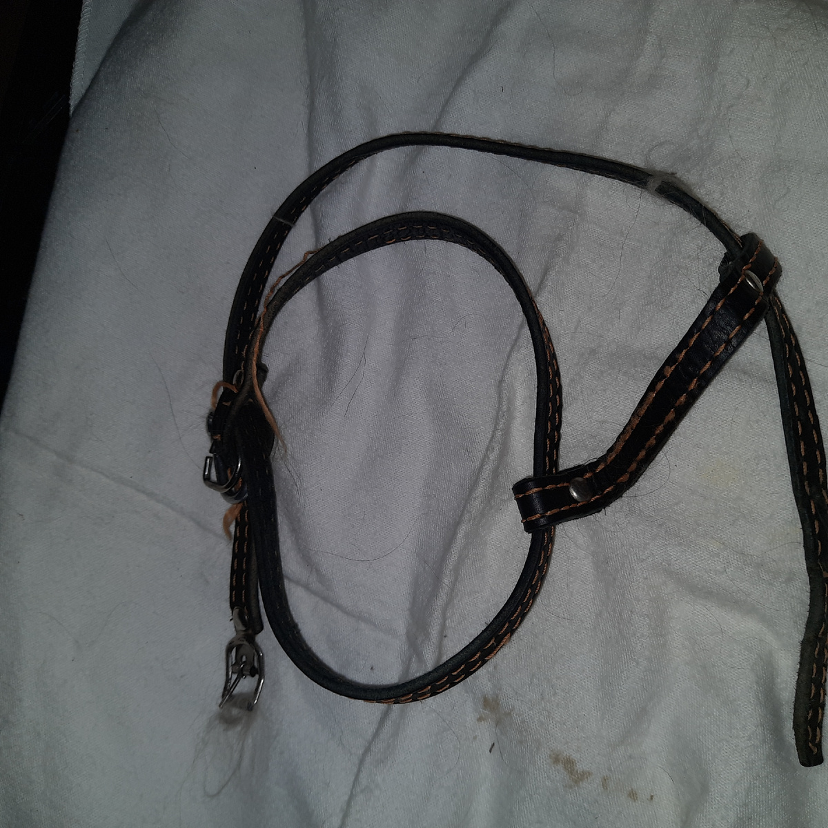 Шлейка подошла нам от собак средних пород до 15 кг