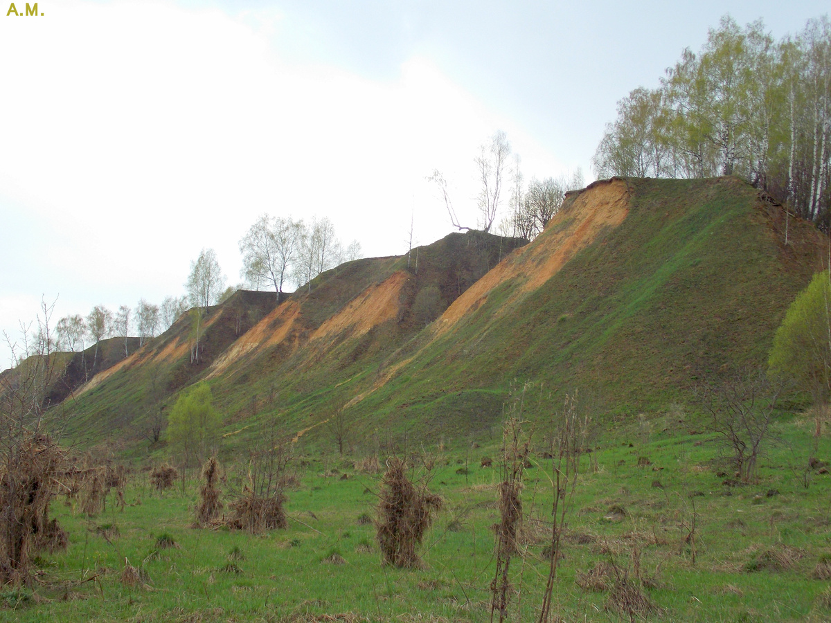 Лихвинский разрез, 2018