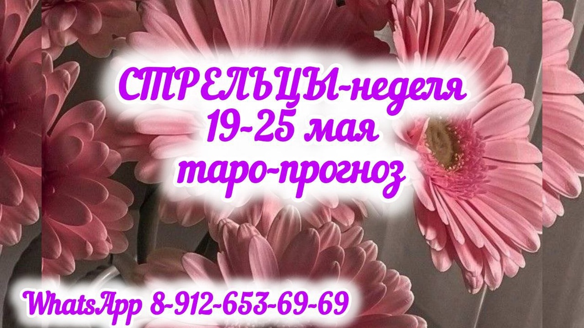 фото принадлежит автору канала