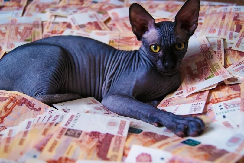 Пять золотых правил финансового успеха