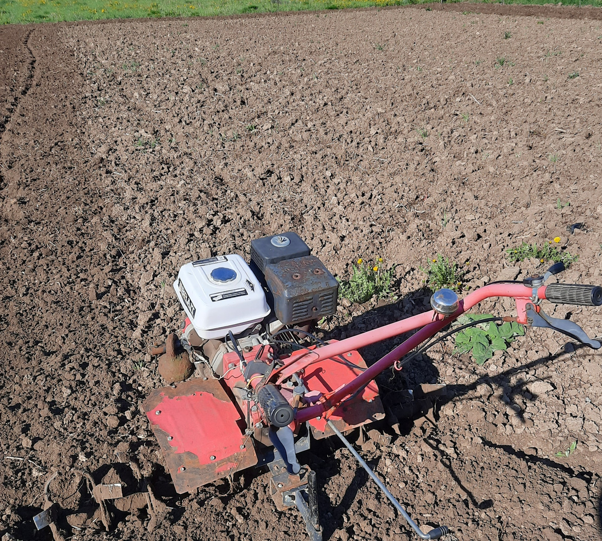 Разница обработки между фрезерованиями  одна - две недели. Фото автора 