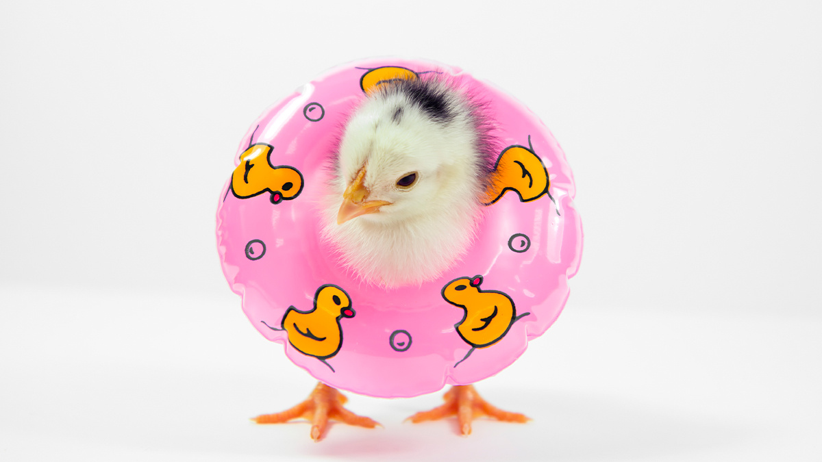 Fernando Trabanco Fotografía/Getty Images