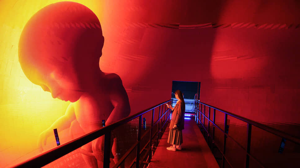 Выставка «Цифровые надежды». Фото: Роман Яровицын / Коммерсантъ