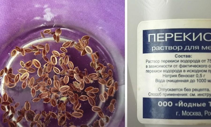 Вот подходящая фотография