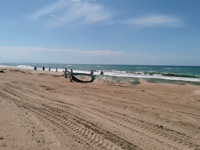    Фото: телеграм-канал "Оперативный штаб – Краснодарский край"