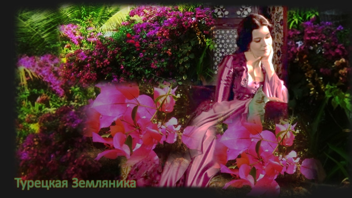 Великолепный Век