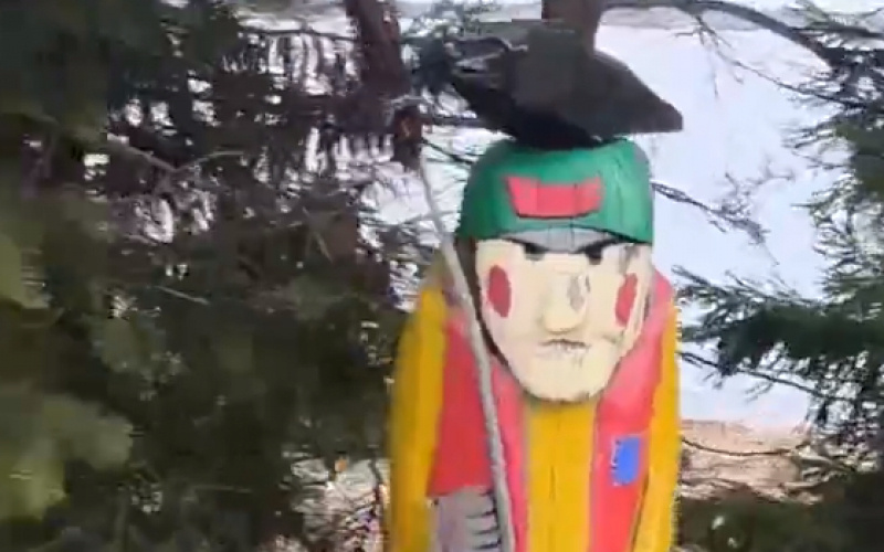    Дельфин и Русалка поселились на озере в Карелиискрин видео