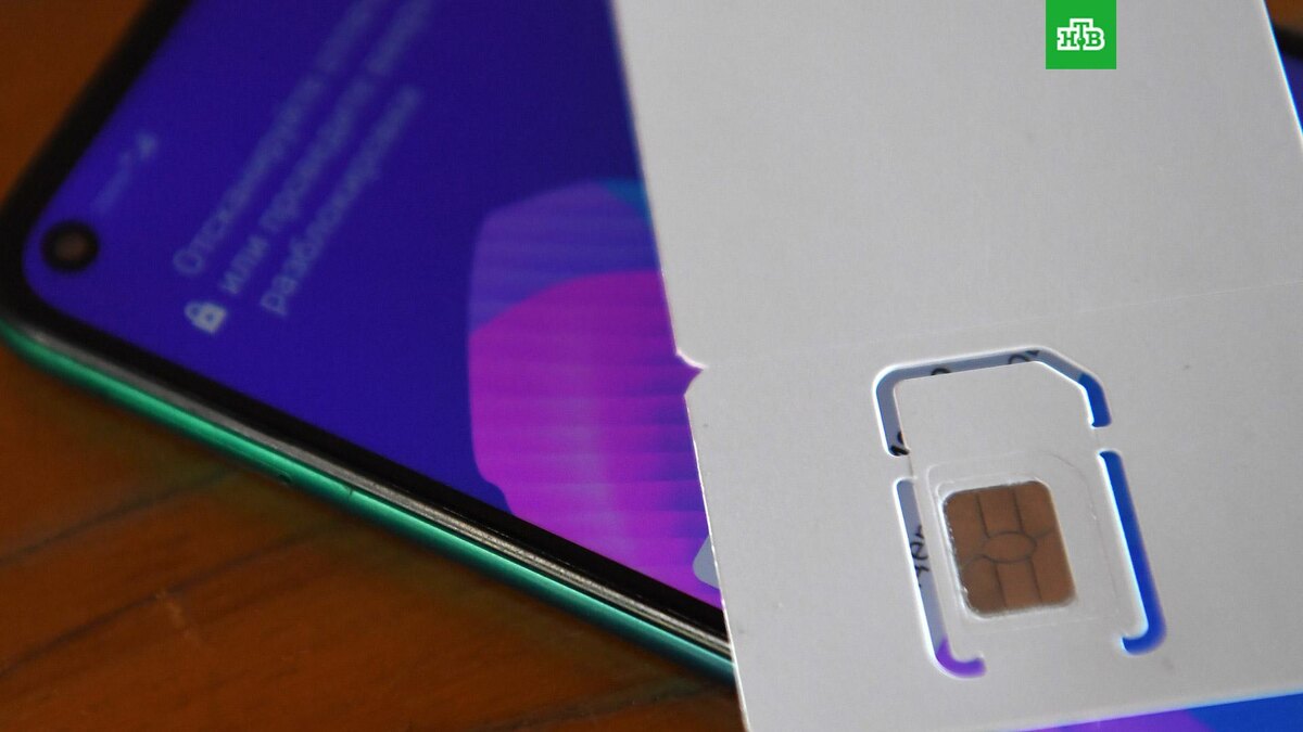    Фото: РИА Новости © 2025