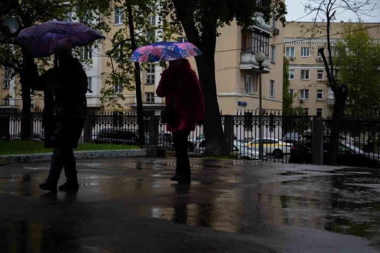    Фото: Общественная Служба Новостей Анна Мигинеишвили