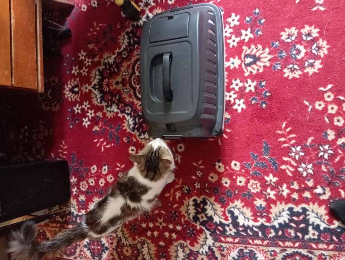 Готовы выдвигаться