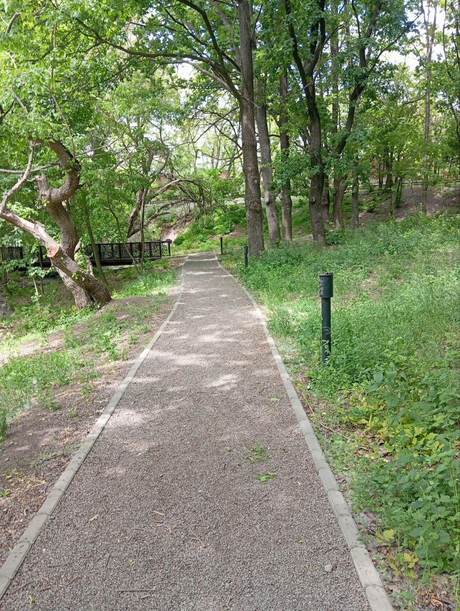 Дорожками рощи...