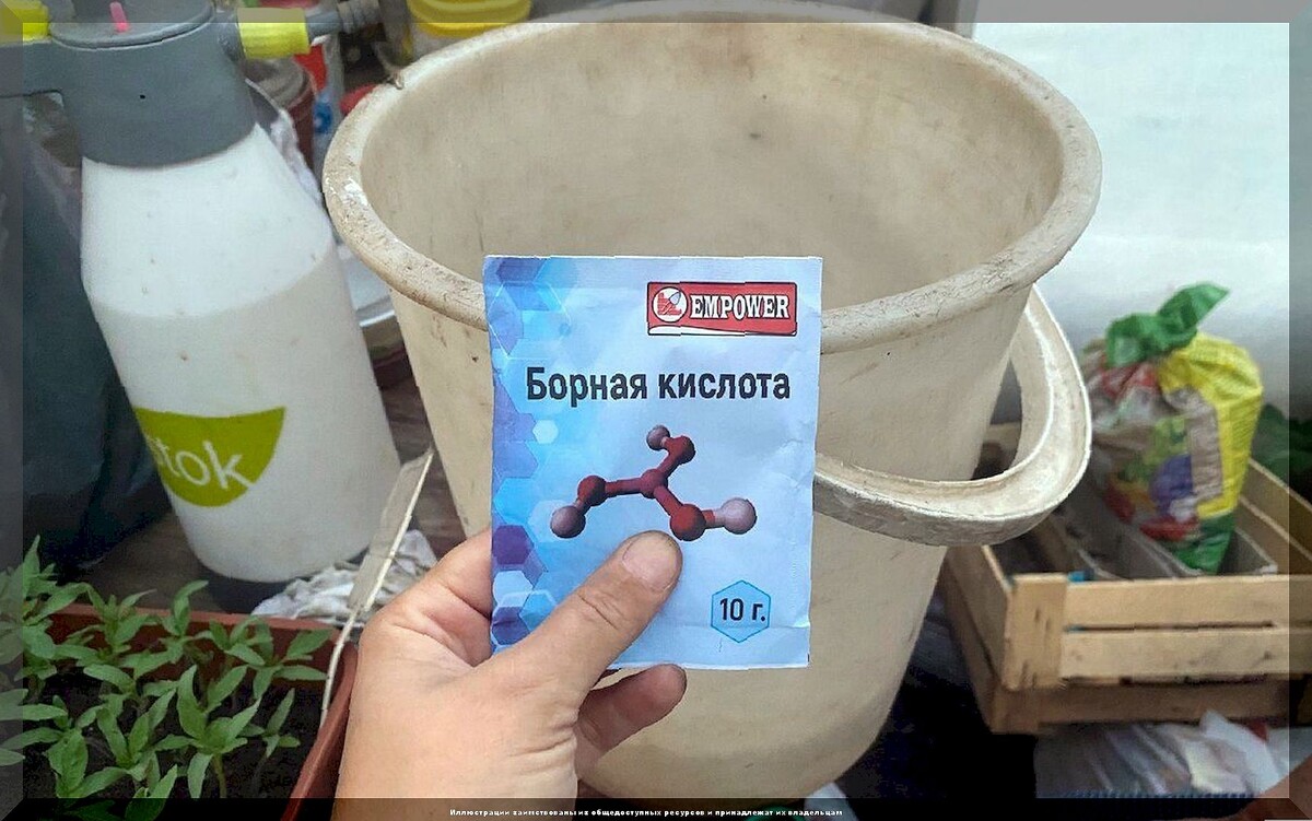https://vk.com/photo-159774511_457271037