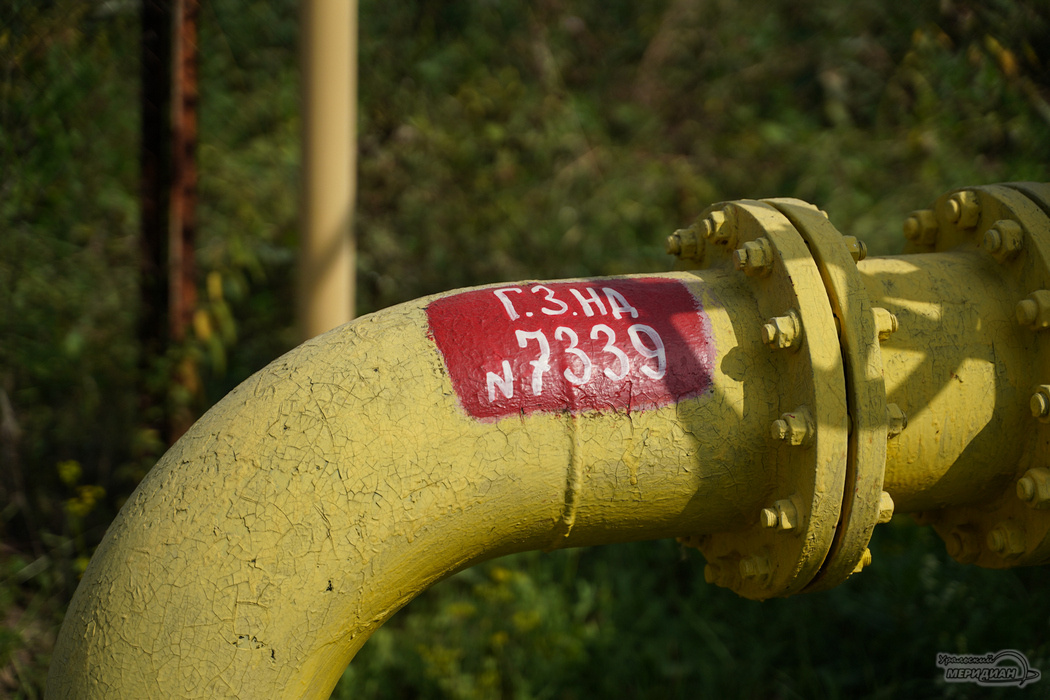    Фото: Лидия Аникина © ИА "Уральский меридиан"