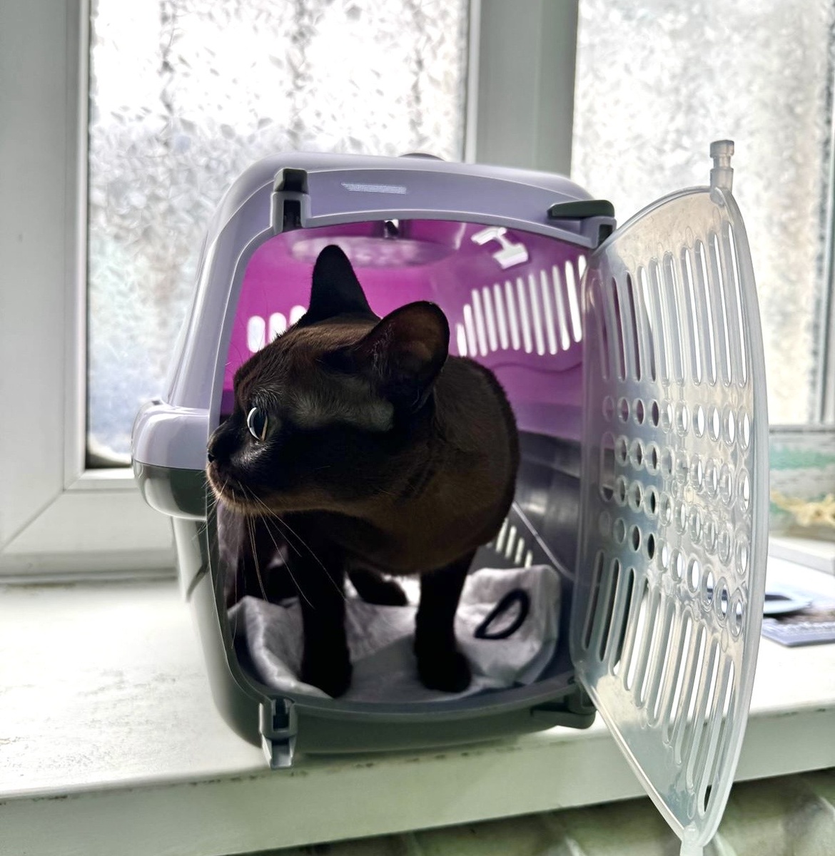 Дива в клинике 