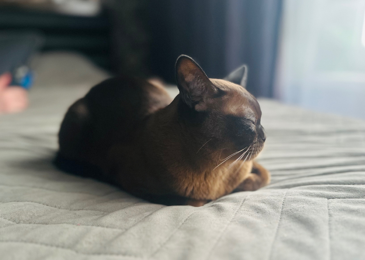 Вполне обычно выглядит и довольна жизнью.