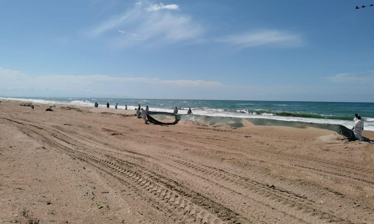    Фото t.me/opershtab23