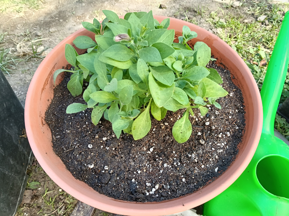 Первый пошёл!