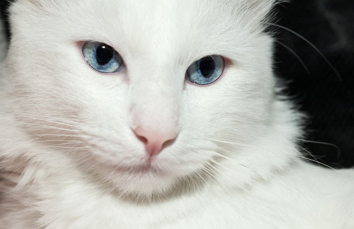 Примерно так он выглядел в молодости