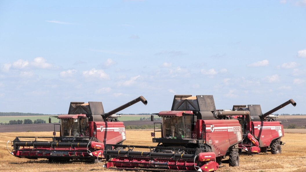    Фото: Belkin Alexey/Globallookpress