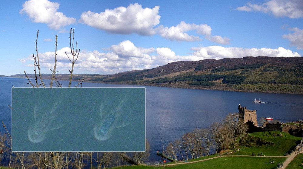    Тайна Лох-Несса раскрыта Ученые нашли неожиданную причину аномалий