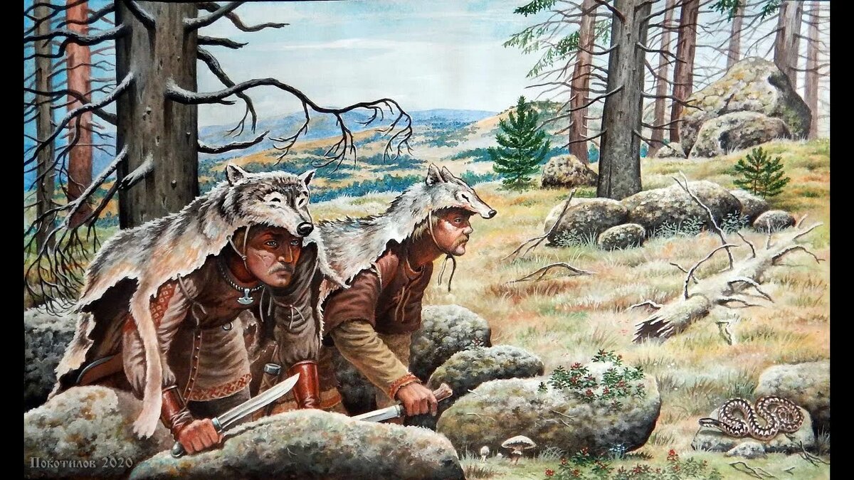 Невры в засаде.