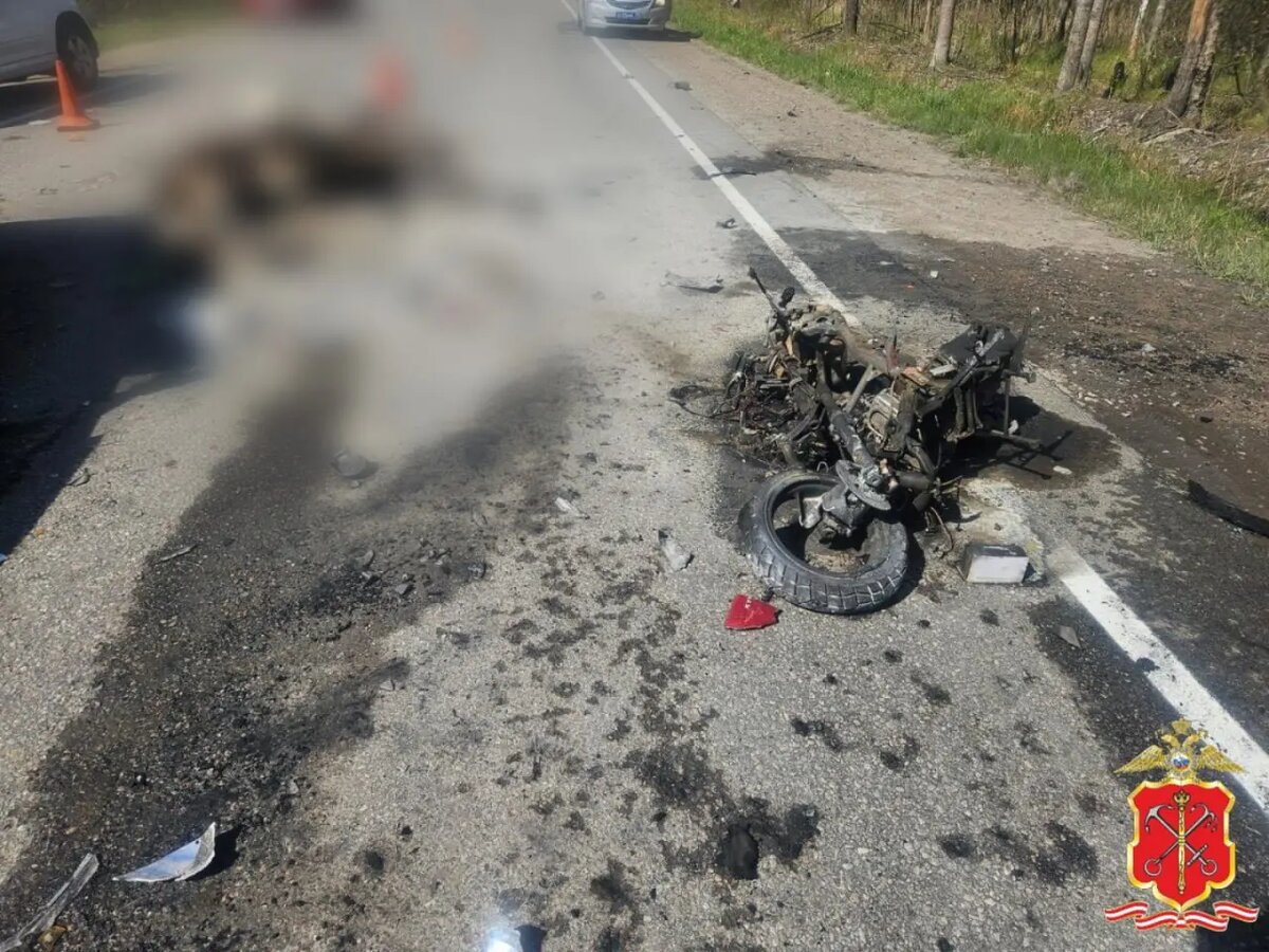    Фото: пресс-служба ГУ МВД России по Петербургу и Ленобласти