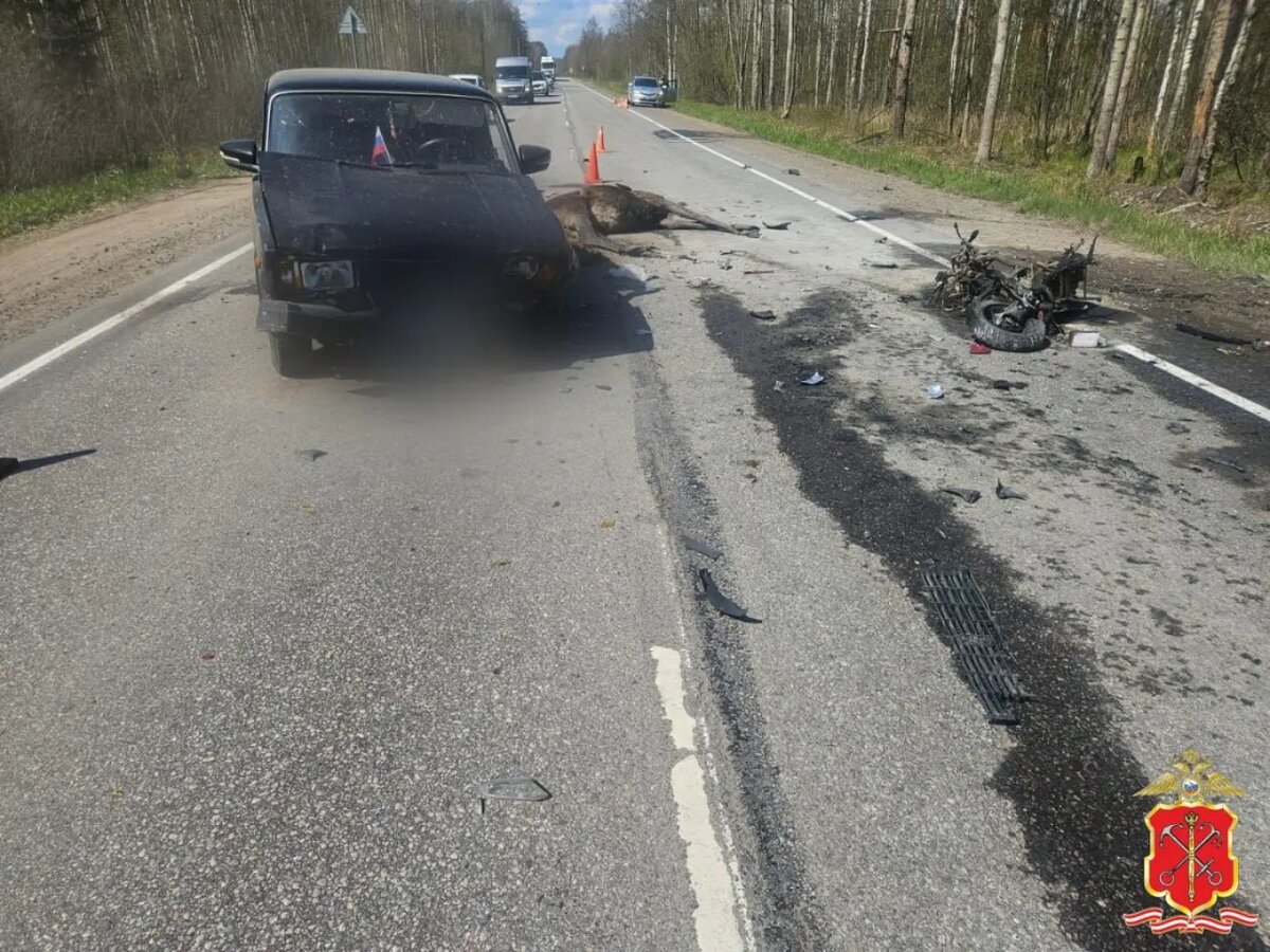    Фото: пресс-служба ГУ МВД России по Петербургу и Ленобласти