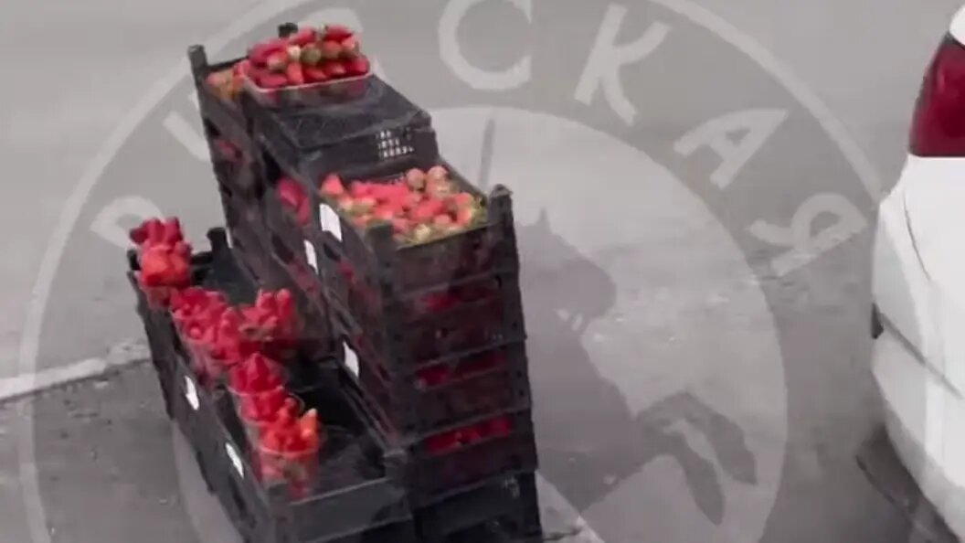    Фото: "Русская Община" Челябинск.