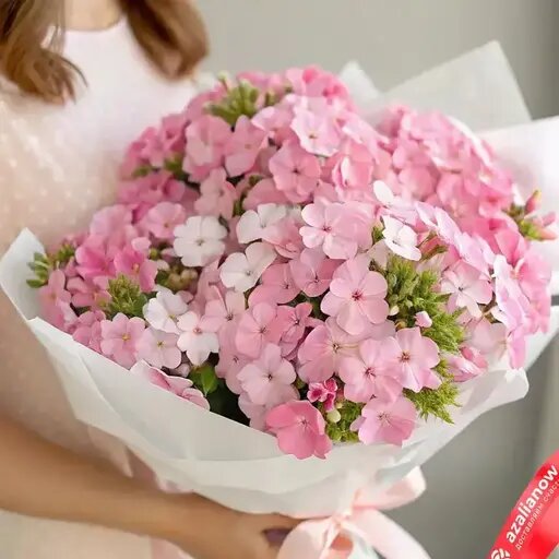   Нежные и красивые флоксы от AzaliaNow Вера Курилыч