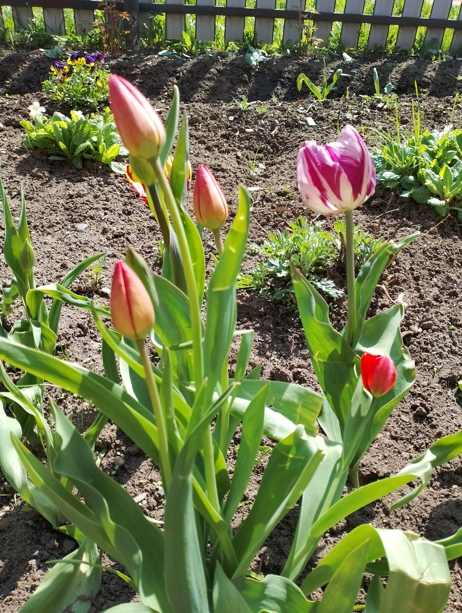 Фото канала ХСБ