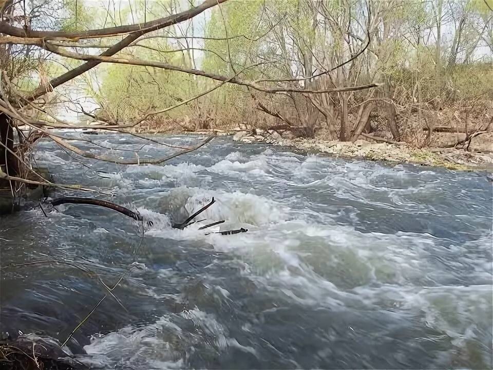    Фото: МЧС по Краснодарскому краю