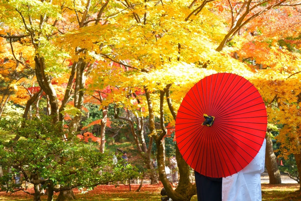 Фото: orangefish / shutterstock.com