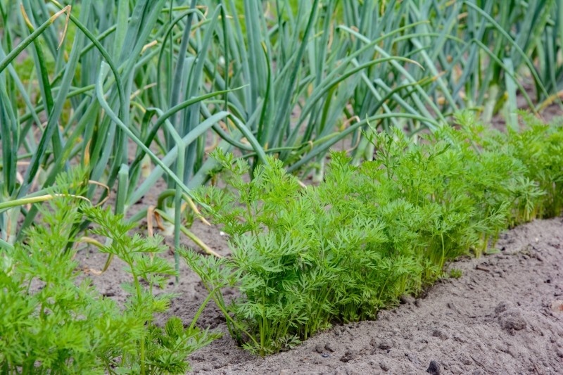 Фото из личного архива