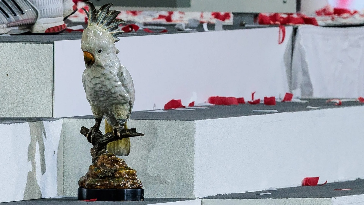 Листайте вправо, чтобы увидеть больше изображений