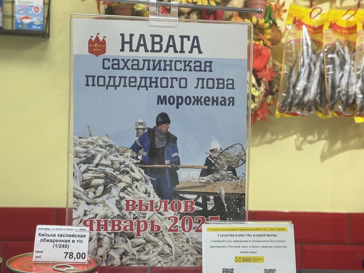 Дикая навага вылова этого года есть в продаже — доступна по цене, прекрасна по качеству