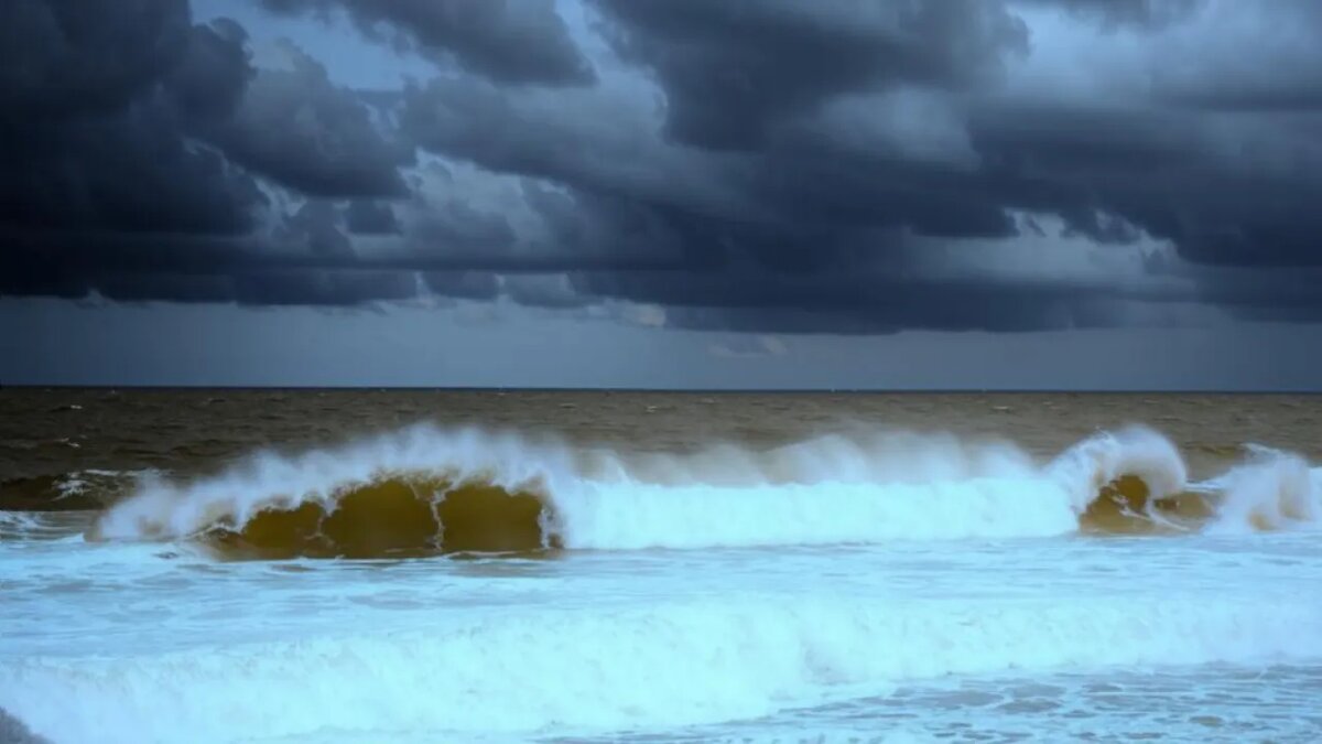    Сгенерировано ИИ