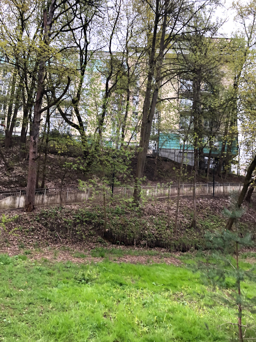 Малиновый овраг. Фото автора.