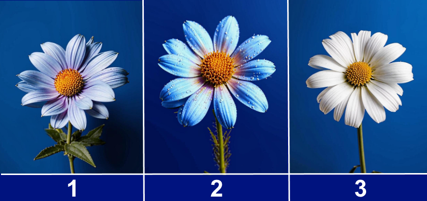 Выберите цветок